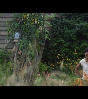180.jpg